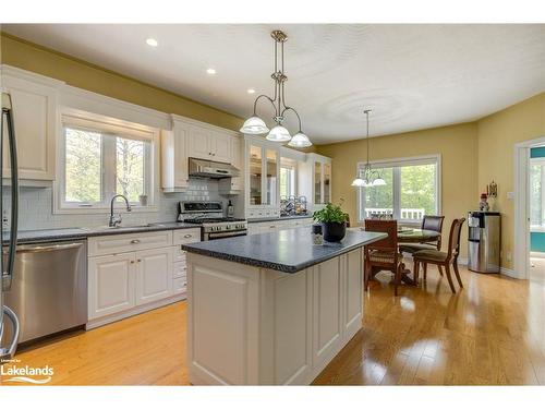 91 Mary Jane Road, Tiny, ON - Indoor Photo Showing Kitchen With Stainless Steel Kitchen With Upgraded Kitchen