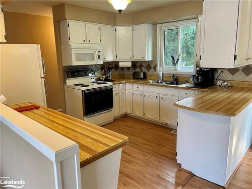 33 Centennial Heights Court, Meaford, ON - Indoor Photo Showing Kitchen With Double Sink