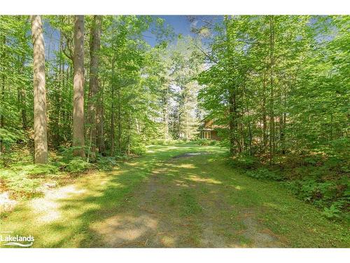 1335 Narrows Road N, Gravenhurst, ON - Outdoor