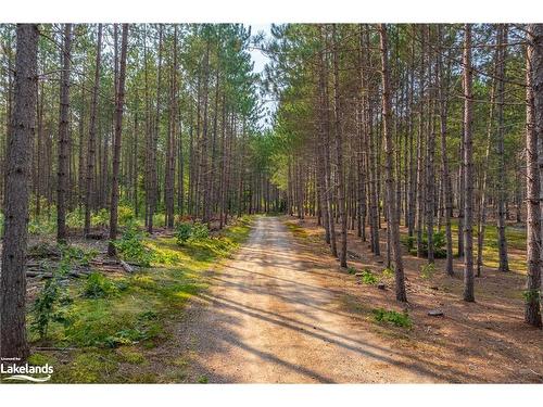 165 James Camp Road, Burk'S Falls, ON - Outdoor With View