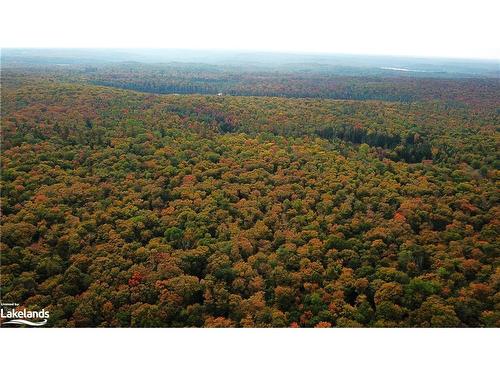 0 South Horn Lake Road, Burk'S Falls, ON 