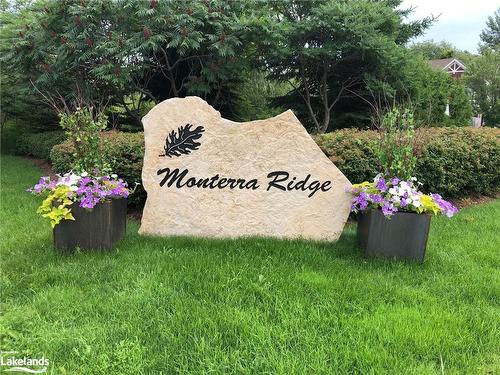 11-689616 Monterra Road, The Blue Mountains, ON - Outdoor