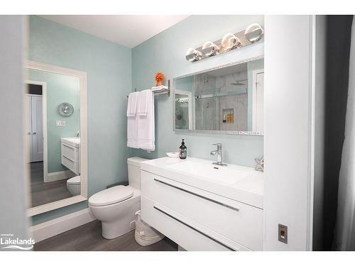 90 Manning Avenue, Collingwood, ON - Indoor Photo Showing Bathroom