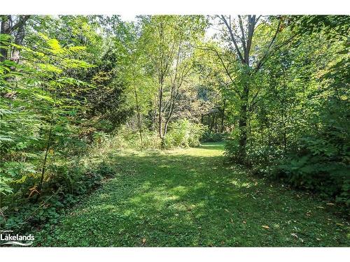 326 Blueberry Marsh Road, Oro-Medonte, ON - Outdoor