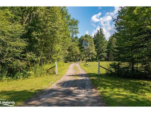 155 Old Centurian Road, Huntsville, ON - Outdoor With View