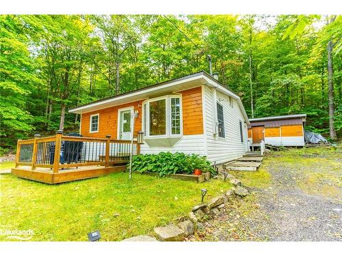 16366 Highway 35, Haliburton, ON - Outdoor With Deck Patio Veranda