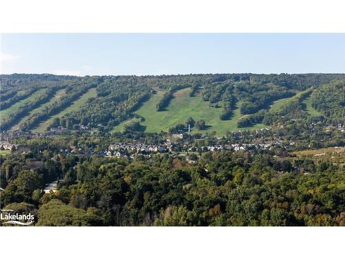 135 Timmons Street, Craigleith, ON - Outdoor With View