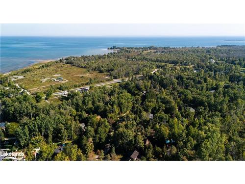 135 Timmons Street, Craigleith, ON - Outdoor With View