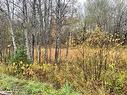 Lot 1 Moore Drive, Whitestone, ON 