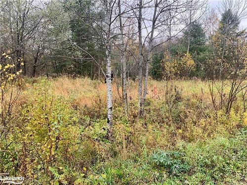 Lot 1 Moore Drive, Whitestone, ON 