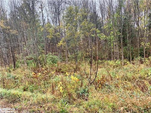 Lot 1 Moore Drive, Whitestone, ON 