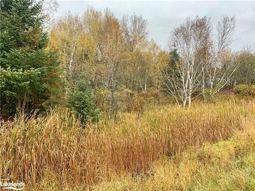 Lot 1 Highway 124, Whitestone, ON 