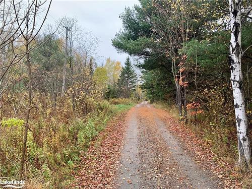 Lot 1 Highway 124, Whitestone, ON 