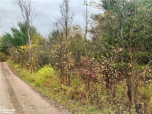 Lot 1 Unnamed Road, Whitestone, ON 