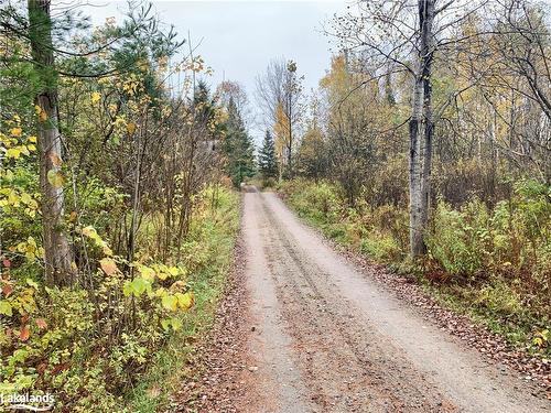 Lot 1 Unnamed Road, Whitestone, ON 