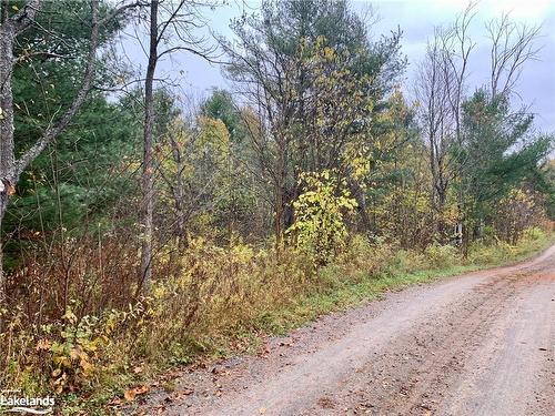 Lot 1 Unnamed Road, Whitestone, ON 