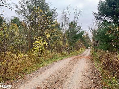 Lot 1 Unnamed Road, Whitestone, ON 