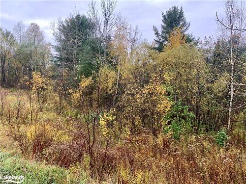 Lot 2 Moore Drive, Whitestone, ON 