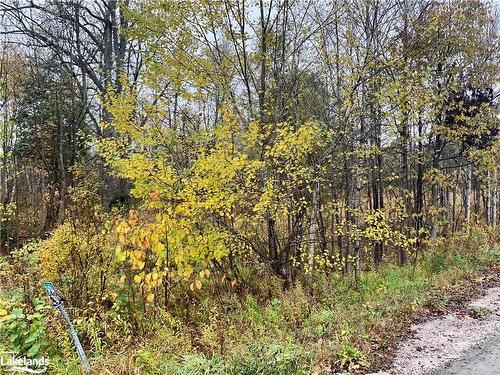 Lot 2 Moore Drive, Whitestone, ON 