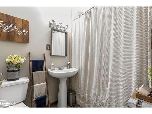 1037 Kernohan Farm Trail, Minden Hills, ON - Indoor Photo Showing Bathroom