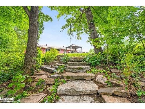 1037 Kernohan Farm Trail, Minden Hills, ON - Outdoor