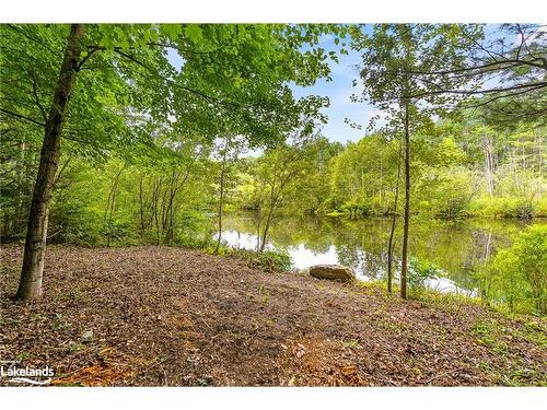 1037 Kernohan Farm Trail, Minden Hills, ON - Outdoor With View