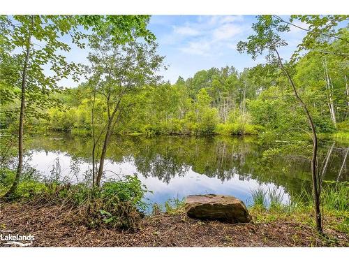 1037 Kernohan Farm Trail, Minden Hills, ON - Outdoor With View