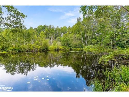 1037 Kernohan Farm Trail, Minden Hills, ON - Outdoor With Body Of Water With View