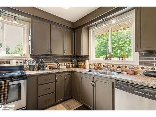 1037 Kernohan Farm Trail, Minden Hills, ON - Indoor Photo Showing Kitchen With Double Sink