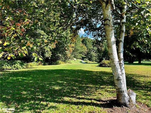 2-15 Golf Course Road, Bracebridge, ON - Outdoor