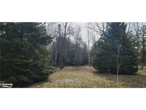 Lot 1-60 Robert Street S, Wasaga Beach, ON 