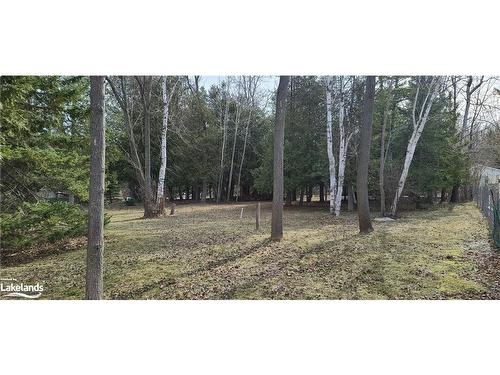 Lot 1-60 Robert Street S, Wasaga Beach, ON 