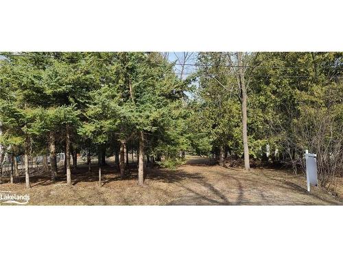 Lot 1-60 Robert Street S, Wasaga Beach, ON 