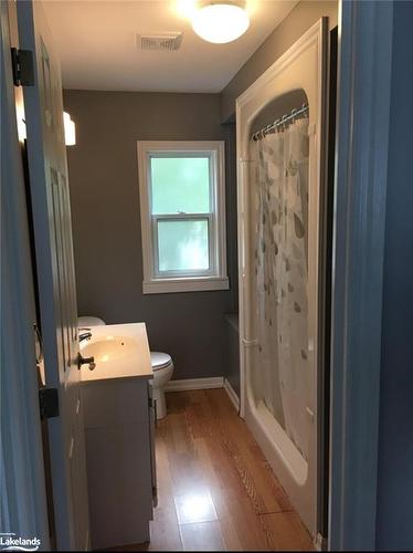 219 Spruce Street, Collingwood, ON - Indoor Photo Showing Bathroom