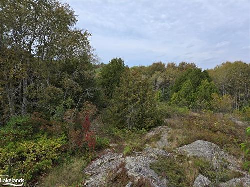 11 Rosedale Road Road, Byng Inlet, ON - Outdoor With View