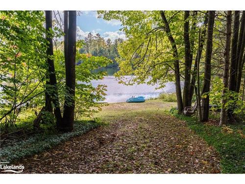 1041 Longline Lake Road, Baysville, ON - Outdoor With View