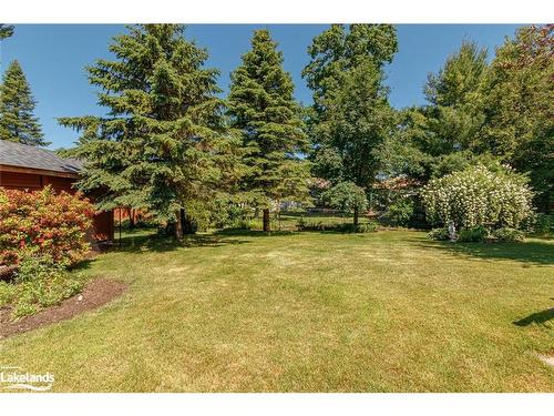 7 Trailwood Place, Wasaga Beach, ON - Outdoor