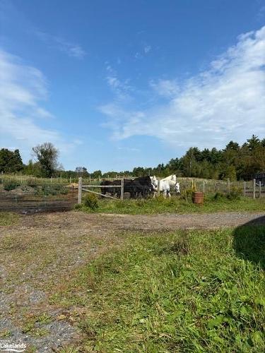 1227 Baseline Road, Severn Bridge, ON - Outdoor With View