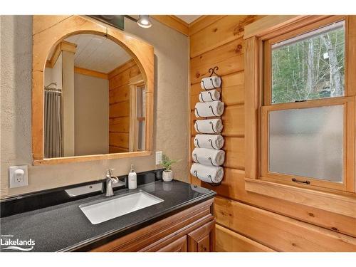 175 Rowanwood Lane, Utterson, ON - Indoor Photo Showing Bathroom