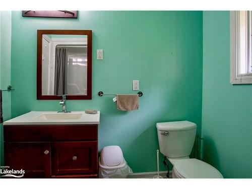 316 Goreville Road, South River, ON - Indoor Photo Showing Bathroom