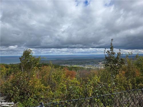 595863 Forth Line, The Blue Mountains, ON - Outdoor With View