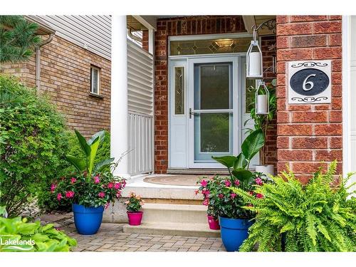 6 Connor Avenue, Collingwood, ON - Outdoor