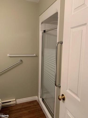 245 Lakewood Park Road, Huntsville, ON - Indoor Photo Showing Bathroom