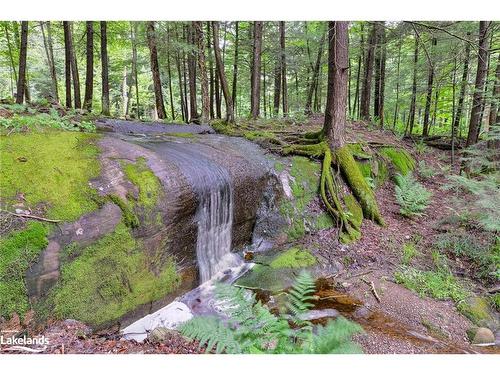 1111 Merrick Drive, Bracebridge, ON - Outdoor With View