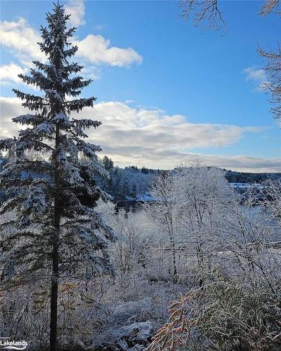 201-24 Ontario Street, Bracebridge, ON - Outdoor With View