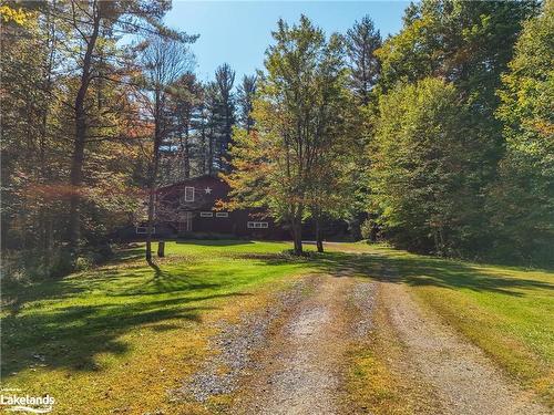 1276 Nicholls Road, Bracebridge, ON - Outdoor With View