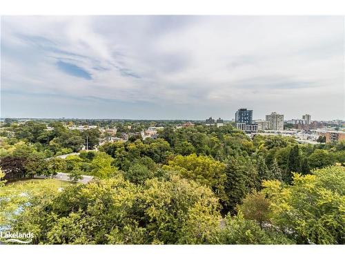 1110-3120 Kirwin Avenue, Mississauga, ON - Outdoor With View