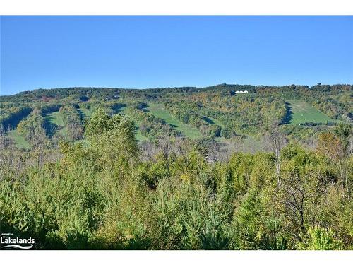 207-12 Beausoleil Lane, The Blue Mountains, ON - Outdoor With View