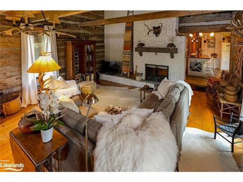 317343 3Rd Line, Meaford, ON - Indoor Photo Showing Living Room With Fireplace