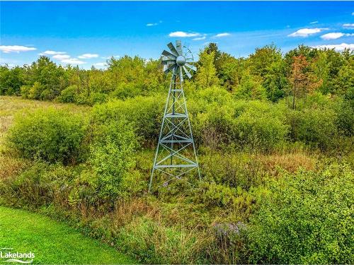 317343 3Rd Line, Meaford, ON - Outdoor With View